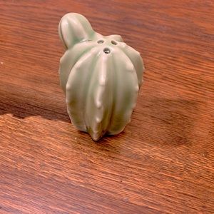 Adorable Green Cactus Salt Shaker